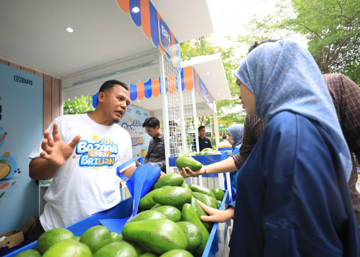 Berkat Program Pemberdayaan BRI Klasterku Hidupku, Petani Ini Berhasil Kembangkan Budidaya Alpukat