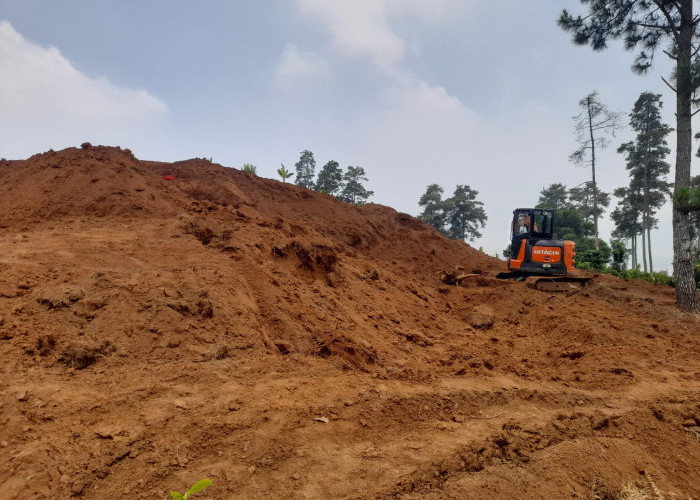 Alih Fungsi Hutan Puncak Simun Cianjur Disorot, Pemanfaatan Perhutanan Sosial Diminta Tak Kebablasan