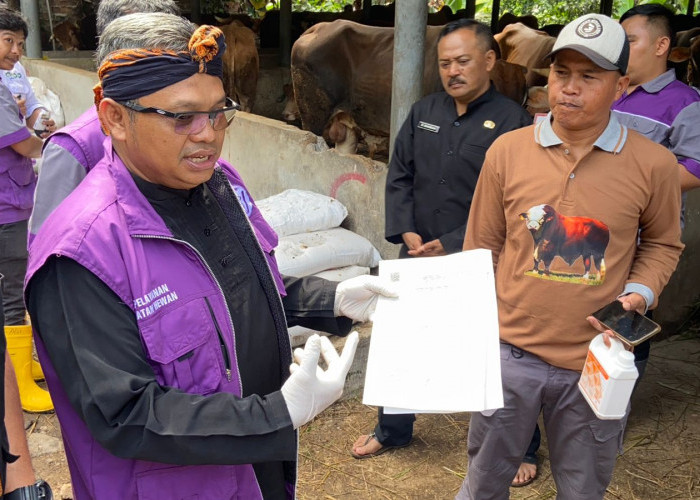 DPKHP Cianjur dan DKPP Jabar Periksa Kesehatan Hewan Kurban