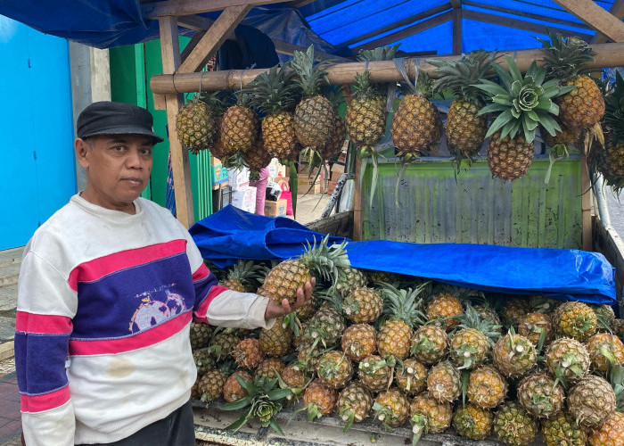 Permintaan Buah Nanas di Cianjur Meningkat Saat Ramadan