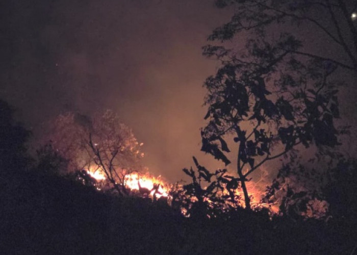 Karhutla Kembali Muncul di Sejumlah Kecamatan di Cianjur