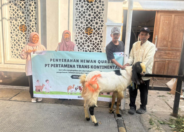 Iduladha 2026, Pertamina Trans Kontinental Berbagi Berkah Kurban Bersama Masyarakat