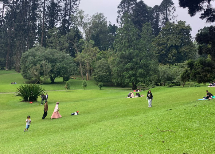 Kunjungan Wisatawan ke Kebun Raya Cibodas Naik 30 Persen Selama Libur Sekolah
