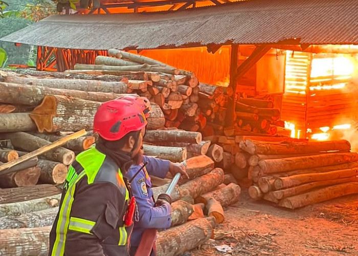 Gudang Gesekan Kayu di Cianjur Terbakar, Kerugian Ditaksir Rp100 Juta