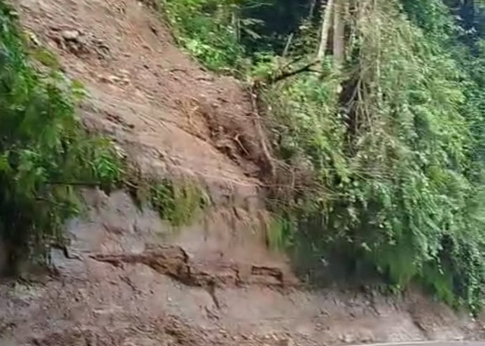 Akses Jalan Cibinong-Sindangbarang Kembali Dibuka Usai Longsor, BPBD Imbau Warga Tetap Waspada