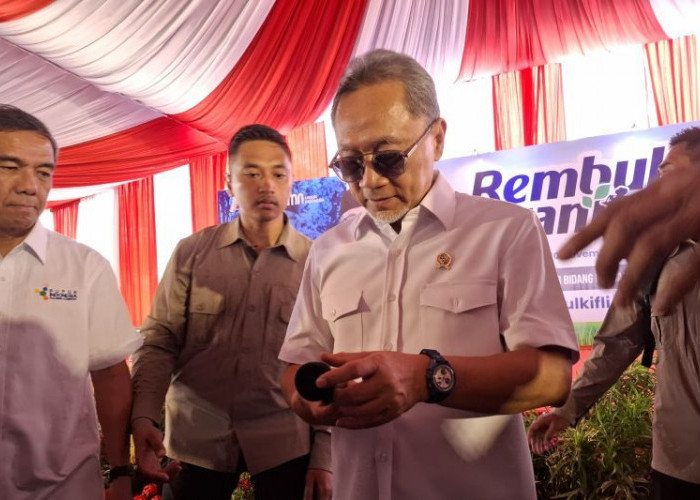 Menko Pangan: Perlu Petani Milenial Agar Sektor Pertanian Tidak Menua