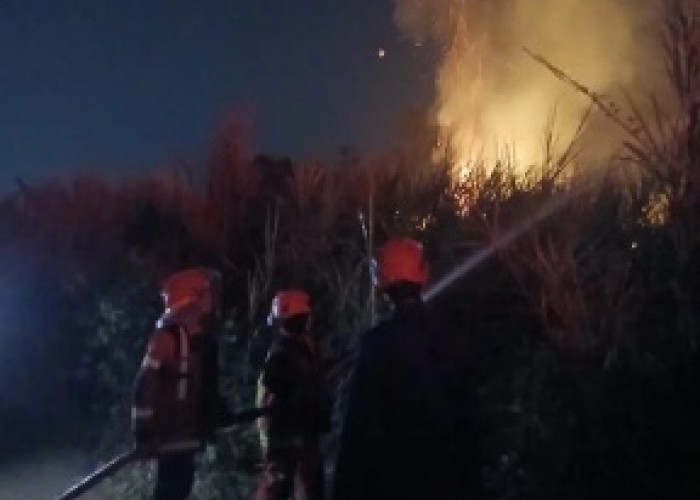 BPBD Cianjur Catat 38 Karhutla Sejak Juli, Satu Warga Meninggal