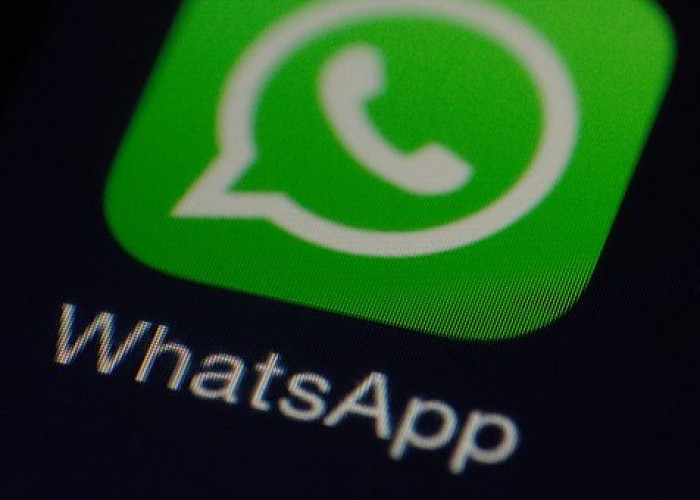 WhatsApp Error, Pesan Tak Terkirim, Pengguna Curhat di Twitter 