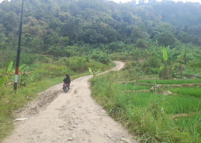 Tuntutan Warga, Desa Rawabelut Fokus Bangun Infrastruktur Jalan