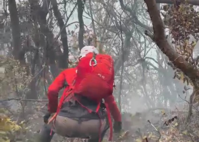 Karhutla Gunung Gede Meluas, 20 Hektar Lahan Terbakar