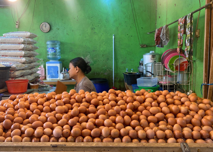 Libur MBG, Harga Telur di Cianjur Turun ke Rp26 Ribu per Kg