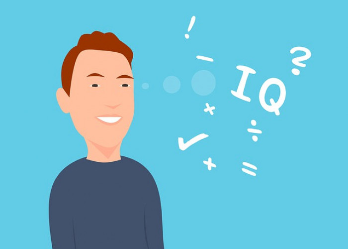 Tes IQ Online, Berikut Cara untuk Mengukur Kepintaran, Ini Linknya!