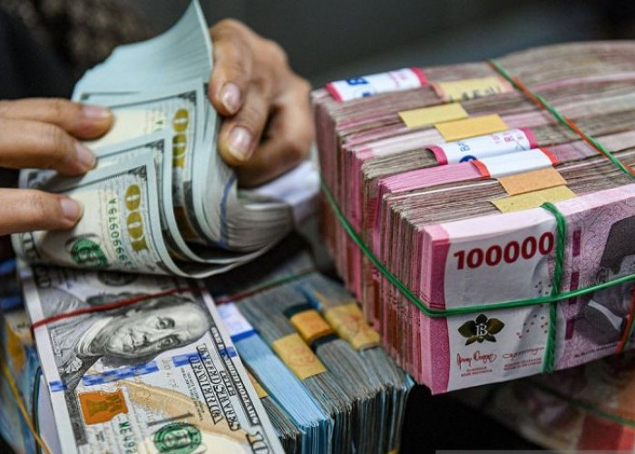 Rupiah Turun Seiring Meningkatnya Probabilitas Pemangkasan FFR