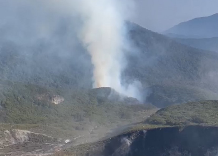 Gunung Gede Kembali Terbakar, 70 Relawan Diterjunkan