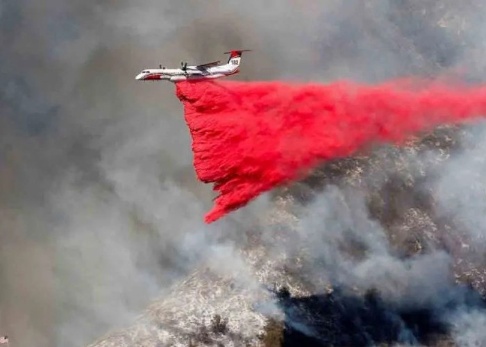 Korban Tewas Akibat Kebakaran Hutan Los Angeles jadi 13 Orang