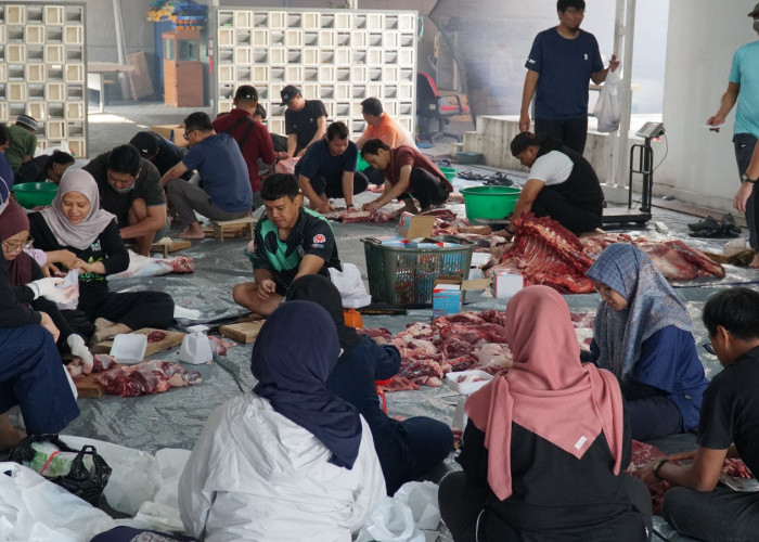 PLN UIP JBT Salurkan Daging Kurban kepada 2.400 Penerima Manfaat