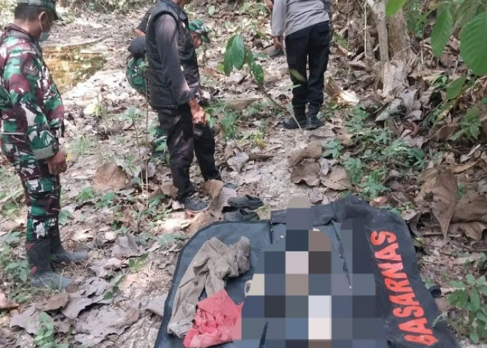 Kerangka Manusia Ditemukan di Hutan Perhutani Cianjur, Polisi Lakukan Penyelidikan