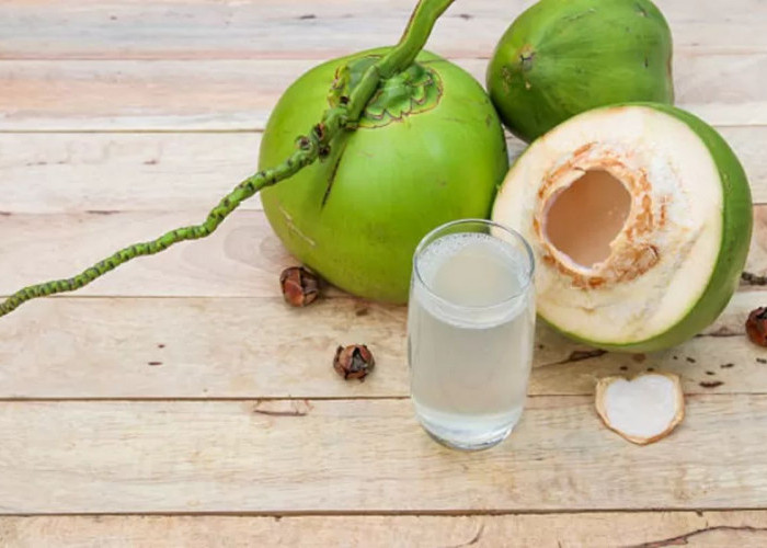 Anjuran Minum air Kelapa Saat Berbuka Untuk Cegah Dehidrasi