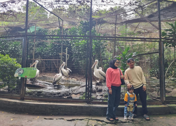 Libur Lebaran 2024, Pengunjung Bandung Zoo Menurun
