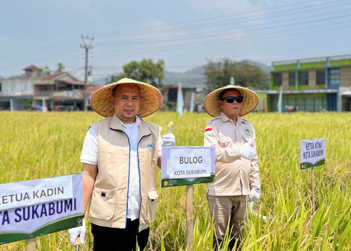 Bulog Cianjur Lampaui Target Penyerapan Gabah 2026, Realisasi Capai 158,95 Persen
