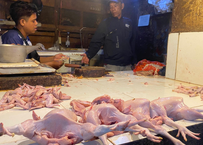 Harga Daging Ayam di Pasar Muka Cianjur Turun Sejak Program MBG Libur