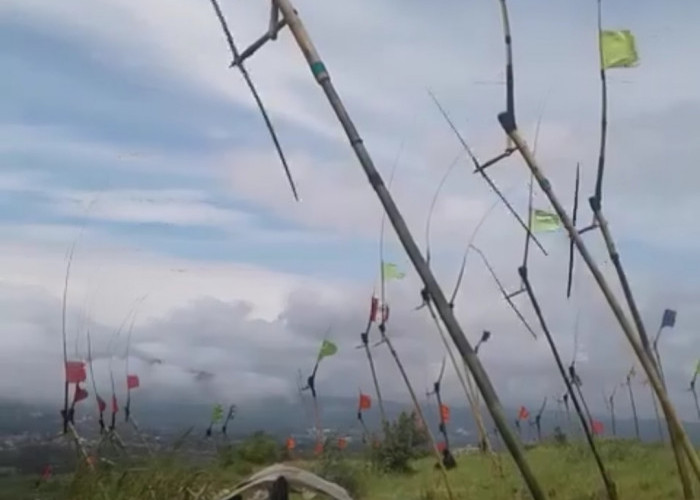 Musim Angin Dimanfaatkan Warga di Pacet Cianjur untuk Bermain Kolecer, Bisa Tidak Pulang Dua Hari