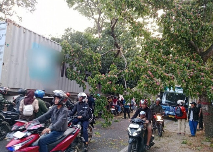 Truk Kontainer Tabrak Pohon di Cianjur, Lalu Lintas Macet 1,5 Jam