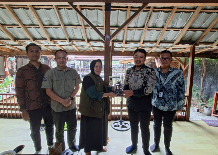 Perkuat Keandalan Listrik, PLN UP3 Cianjur Sinergi dengan DLH dalam Pengamanan Pohon   