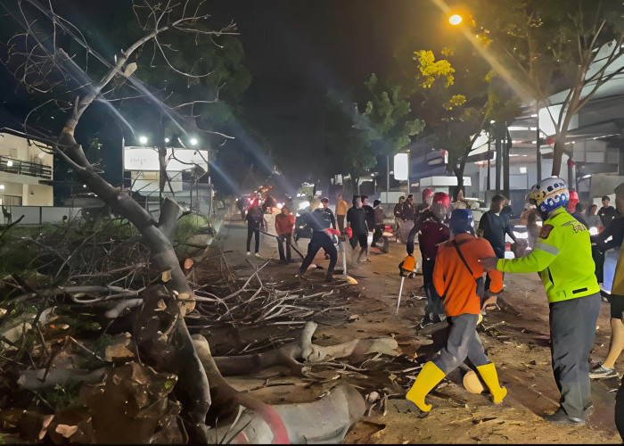 Pohon Tumbang Timpa Dua Motor di Jalan Raya Bandung Cianjur