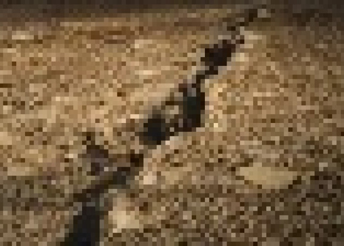 BPBD Sebut Bantuan Rumah Terdampak Pergerakan Tanah di Cianjur Selatan Masih Proses Review BNPB