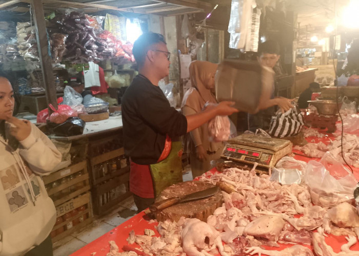 Harga Ayam Potong di Pasar Muka Cianjur Tembus Rp 45 Ribu per Kilogram, Daya Beli Turun