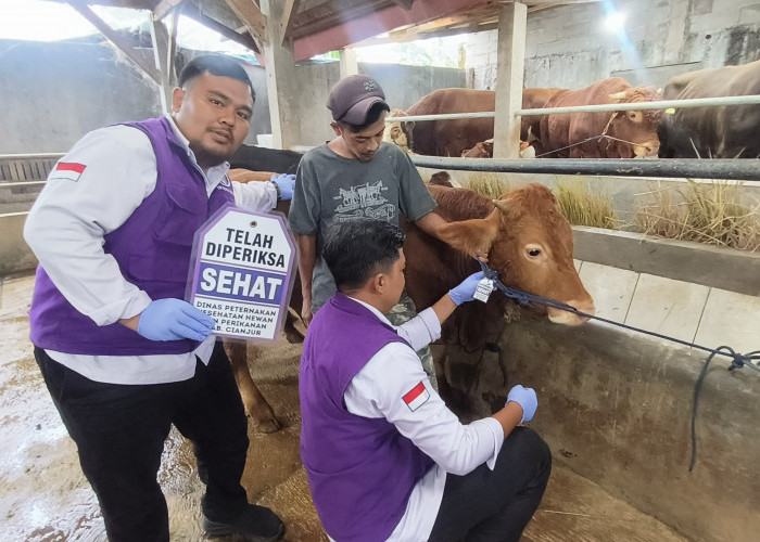 DPKHP Cianjur Turunkan Puluhan Petugas untuk Cek Daging Kurban