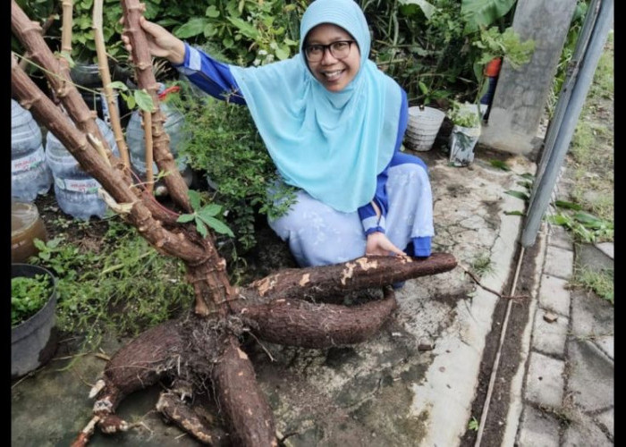 Pakar Pangan Unej Paparkan Tips Penuhi Kebutuhan Gizi Selama Puasa