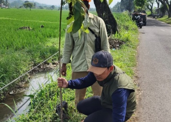 Cegah Longsor dan Banjir, DLH Cianjur Gencarkan Penanaman Pohon