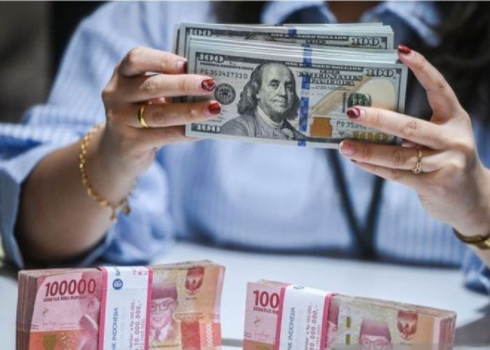 Rupiah Tergelincir Seiring dengan Menurunnya Ekspektasi Pemotongan FFR