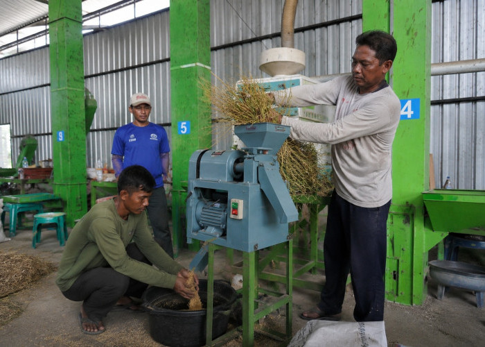 PLN UIP JBT Dorong Produktivitas Petani melalui Program Electrifying Agriculture di Cianjur
