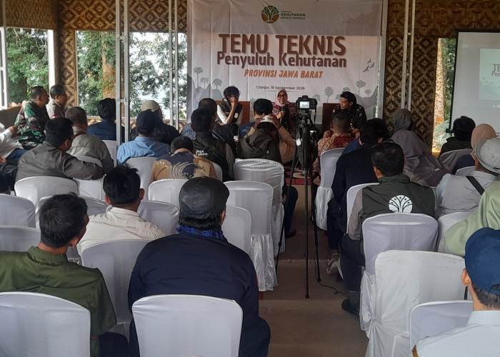Temu Teknis di Cianjur, Penyuluh Kehutanan dan KTH Perkuat Pengelolaan Hutan Berkelanjutan