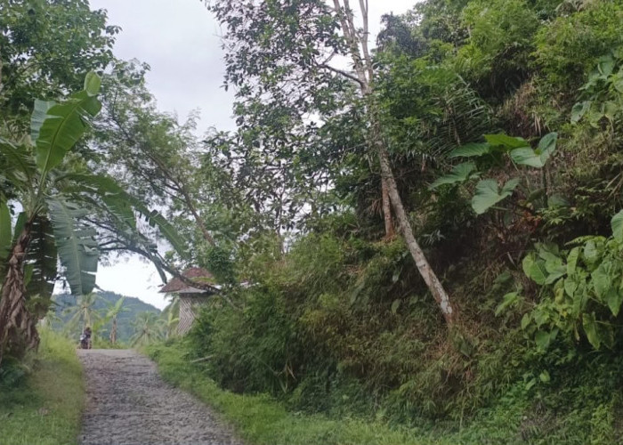 Perbaikan Jalan dan Jembatan Gantung Cikadu Cianjur Diperkirakan Telan Anggaran Rp14 Miliar