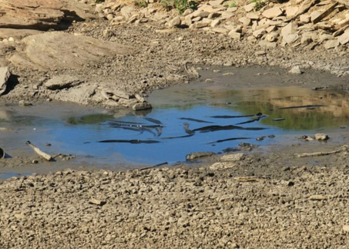 BPBD: Wilayah Cianjur Masuki Musim Kemarau pada April 2026