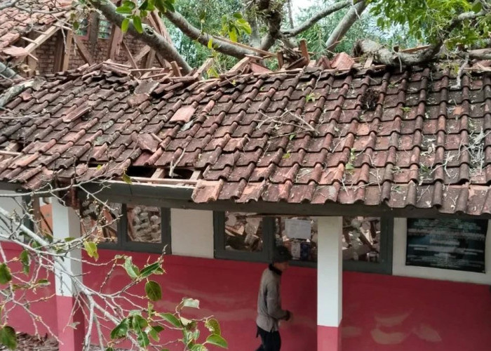 Pohon Tumbang Timpa Kelas SDN Sukasari Campaka, Enam Siswa Terluka