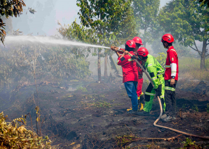 Menteri LH Tinjau Langsung Kebakaran Lahan di Kalimantan Selatan, Pastikan Api Padam