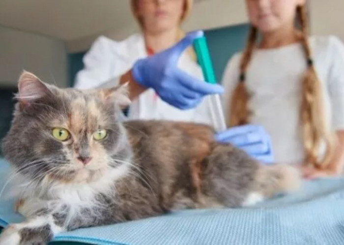 DPKHP Cianjur Hadirkan Layanan Kesehatan Hewan Gratis