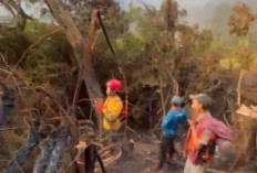 Relawan Gunung Gede Galang Donasi untuk Peralatan dan Logistik