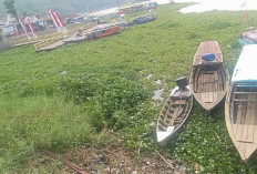 Eceng Gondok dan Sampah Ancam Wisata serta Budidaya Ikan di Waduk Jangari