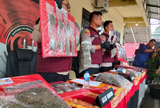 Polres Cianjur Gagalkan Peredaran 15 Kg Ganja, Dua Terduga Pengedar Dibekuk