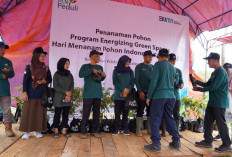 Menyalakan Lebih dari Sekadar Listrik: Rencana TJSL PLN UIP JBT 2026 untuk Kehidupan yang Lebih Baik