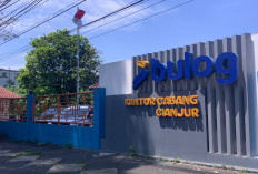 Bulog Cianjur Serap 88 Ribu Ton Gabah hingga Agustus 2026