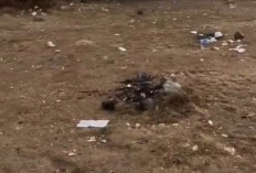 Sampah dan Bekas Api Unggun Cemari Alun-alun Suryakencana Gunung Gede