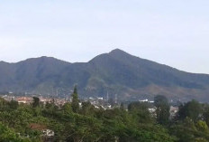 Pendakian Gunung Gede Pangrango Ditutup Sementara Saat Iduladha