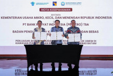 Kementerian UMKM Gandeng BP Batam dan BRI Perkuat UMKM di Ekosistem Industri